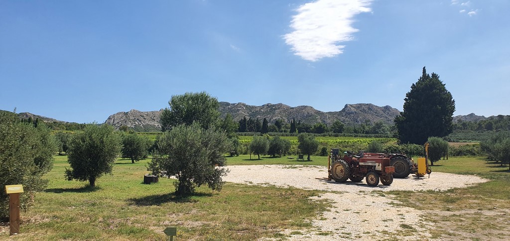 olijfboomgaard les baux de provence