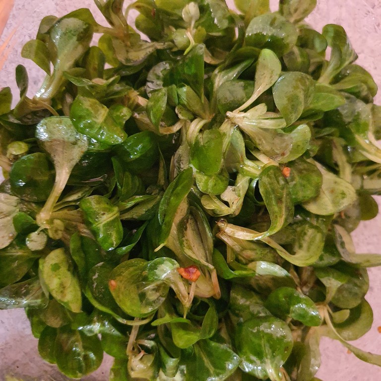 recept franse vinaigrette