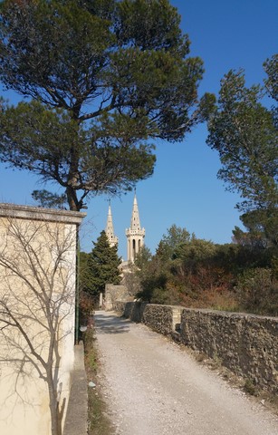 Frans recept asperges Frans recept asperges