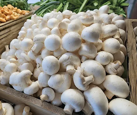 recept gevulde champignons