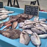 Makkelijk recept voor een visschotel uit de Provence